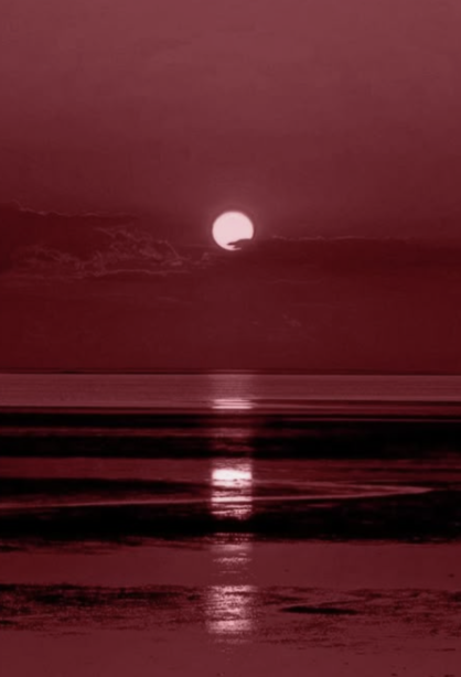 Diaries Of a D. Girl